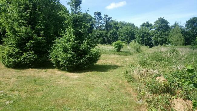 Malownicze działki nad morzem , tylko 3 km do morza .