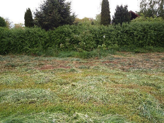 Malownicze działki nad morzem , tylko 3 km do morza .