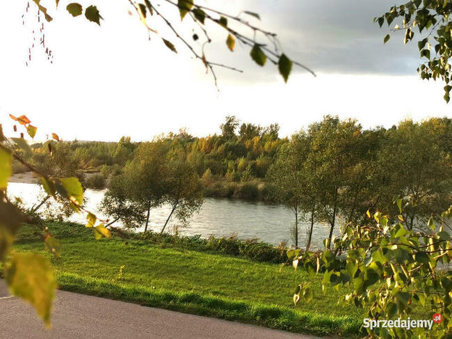 Dom nad rzeką Dunajec z widokową działką w Szczepanowicach