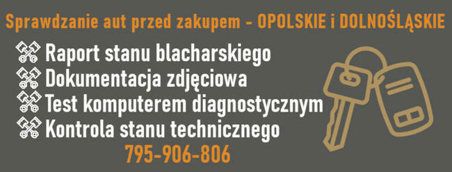 Oględziny samochodu przed zakupem Wrocław Opole Oleśnica Nys