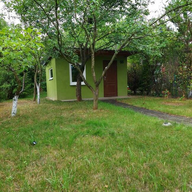 Działka ROD im.S.Staszica KONWALIA