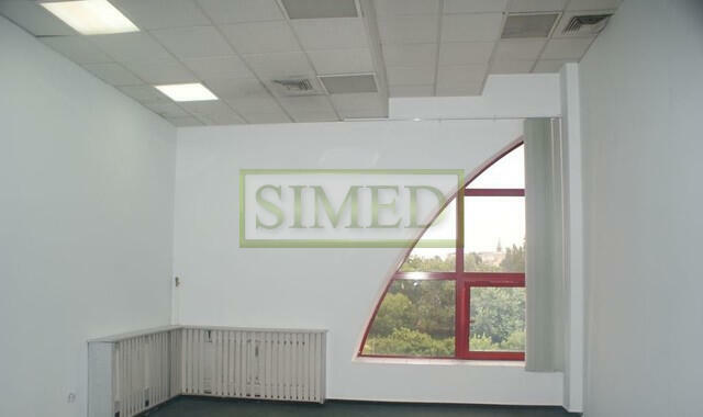 Studio 5m wysokości ,recepcja ,monitoring,ochrona