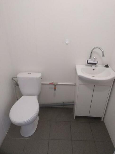 Wynajmę plac/działkę w Puszczy Mariańskiej przy DK719 Skiern