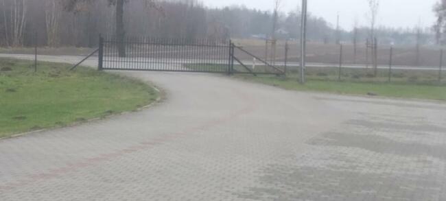 Wynajmę plac/działkę w Puszczy Mariańskiej przy DK719 Skiern