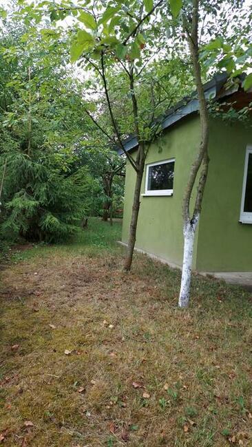 Działka ROD im.S.Staszica KONWALIA