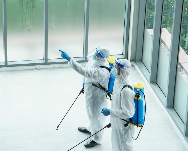 Dezynfekcja, dezynsekcja, deratyzacja, ozonowanie - Warszawa