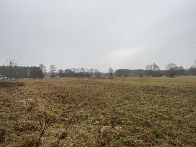 Atrakcyjne działki budowlane w Białym Borze