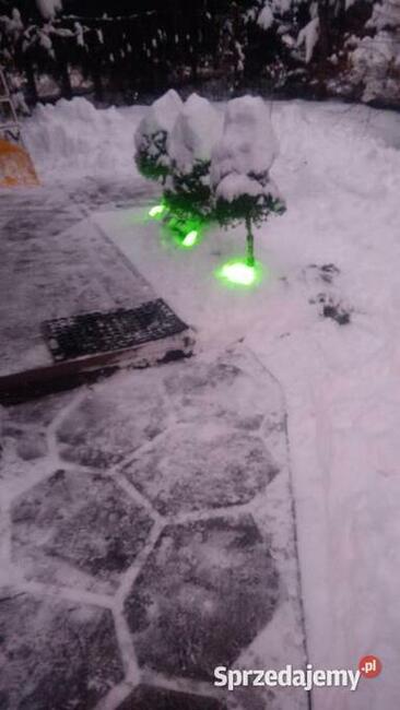 Złota rączka - dom i ogród, Kraków i okolice.