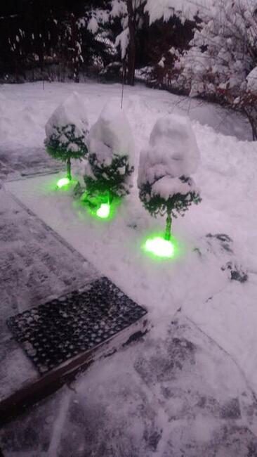 Złota rączka - usługi dom i ogród, Kraków i okolice.