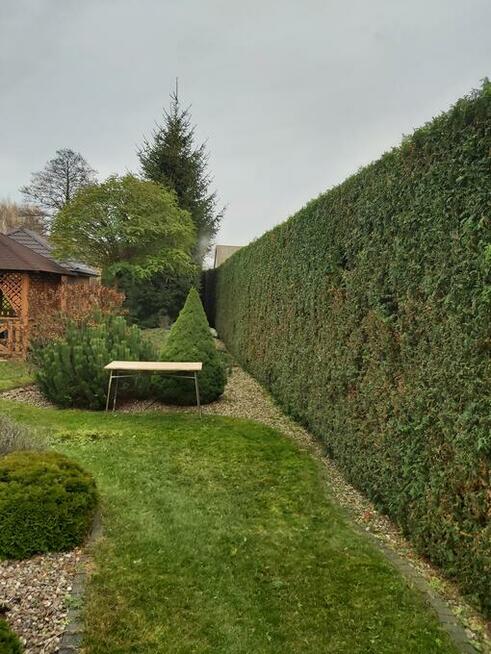 Praca przy zakładaniu ogrodów.