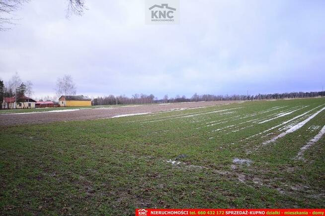 Działka budowlana Wierciszów gm. Jabłonna