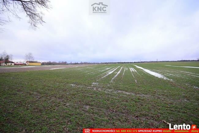 Działka budowlana Wierciszów gm. Jabłonna