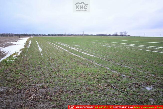 Działka budowlana Wierciszów gm. Jabłonna