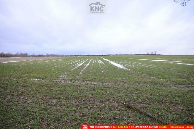 Działka budowlana Wierciszów gm. Jabłonna