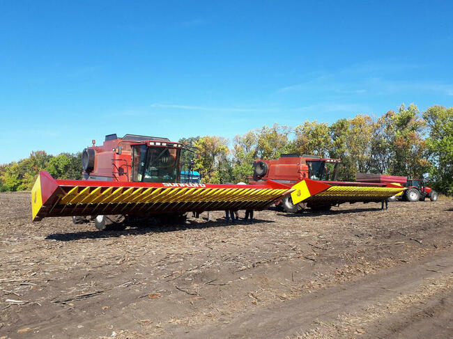 Heder do Słonecznika Sunfloro Shaft