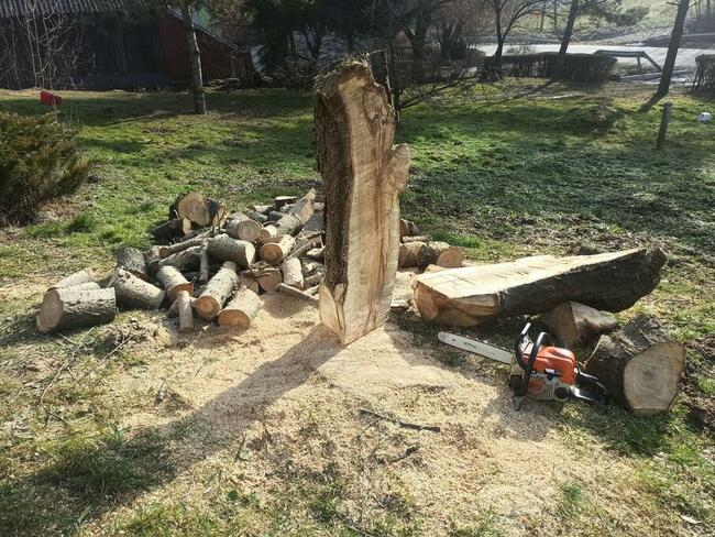 Koszenie trawy, nieużytków, kosiarka bijakowa, karczowanie