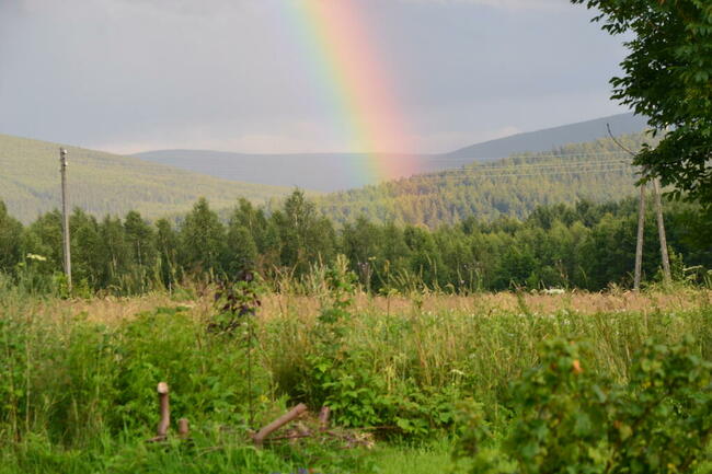 Agroturystyka Dom Pracy Twórczej w Wolimierzu nr 54.