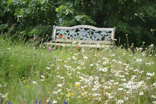 Agroturystyka Dom Pracy Twórczej w Wolimierzu nr 54.