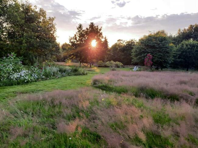 Agroturystyka Dom Pracy Twórczej w Wolimierzu nr 54.