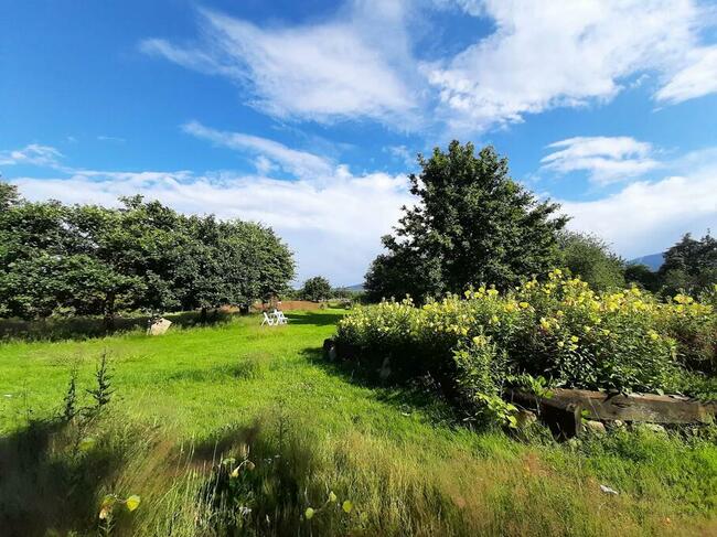 Agroturystyka Dom Pracy Twórczej w Wolimierzu nr 54.