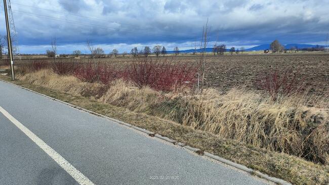 działka rolna powierzchnia 19317m2 Bielawa