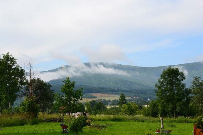 Agroturystyka Dom Pracy Twórczej w Wolimierzu nr 54.