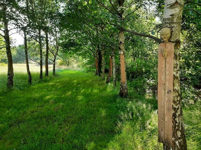 Agroturystyka Dom Pracy Twórczej w Wolimierzu nr 54.