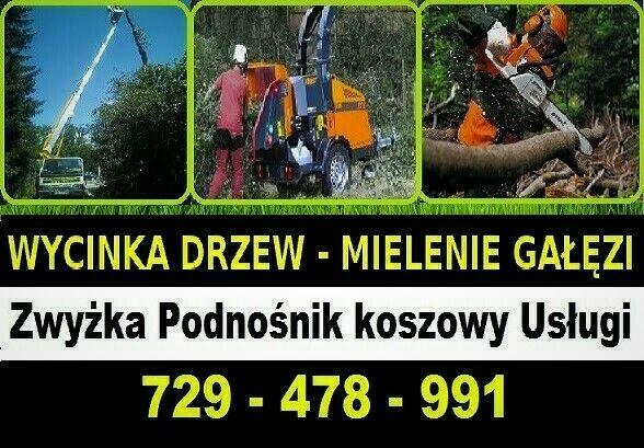 Wycinka Drzew Mielenie Gałęzi Usuwanie Pni Korzeni