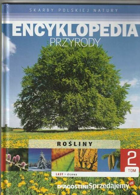 Encyklopedia przyrody. Rośliny. Lasy drzewa tom 2