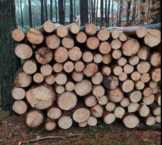 Drewno opalowe Sosna Dąb Grab