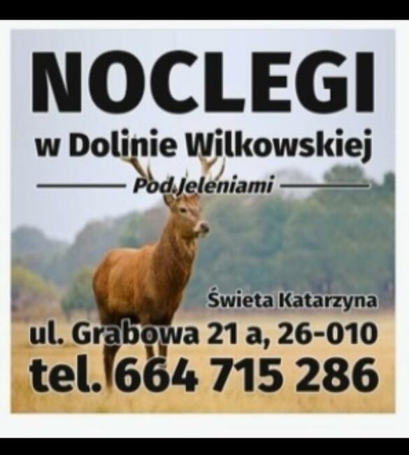 w Dolinie Wilkowskiej,, Pod Jeleniamiprawdziwymi. Góry Świ