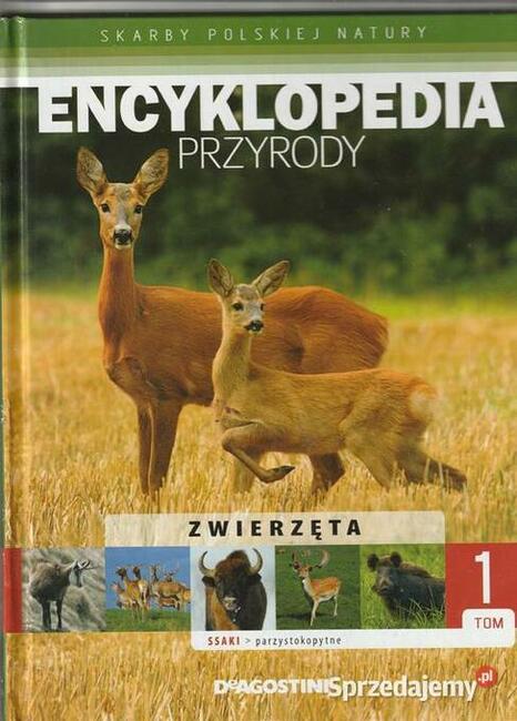 Encyklopedia przyrody. Ssaki parzystokopytne tom 1