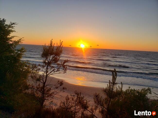 Domki letniskowe w Ustce