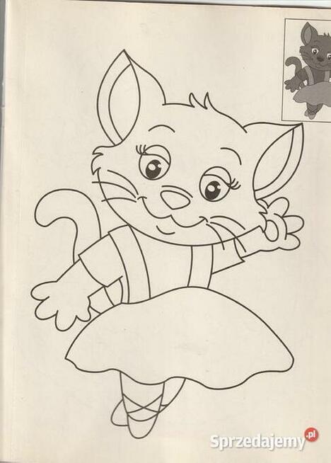 Maxi colour + naklejki z kotkami