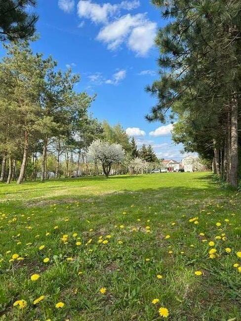 Noclegi nad jeziorem