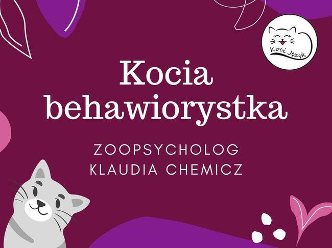Kocia behawiorystka, zoopsycholog - behawiorysta koty Kraków