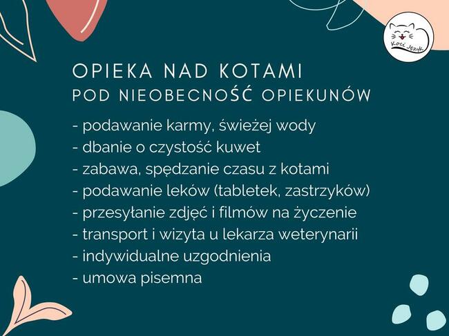 Profesjonalna opieka nad kotem - Kraków catsitter petsitter