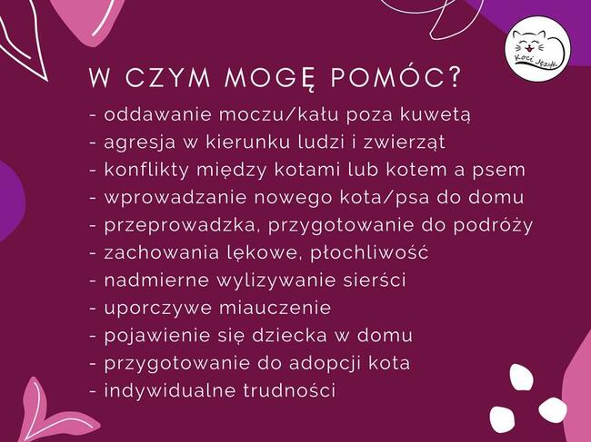 Kocia behawiorystka, zoopsycholog - behawiorysta koty Kraków