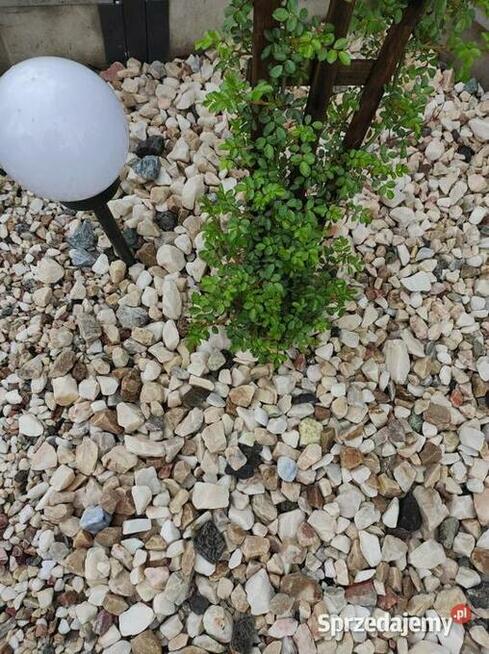 Kamień wielokolorowy BRZ 16-35 mm ogrodowy 1 t