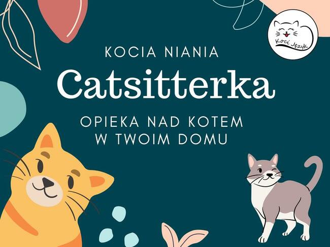 Profesjonalna opieka nad kotem - Kraków catsitter petsitter