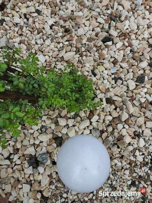 Kamień wielokolorowy BRZ 16-35 mm ogrodowy 1 t