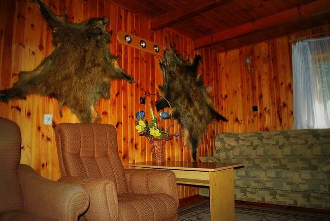 Domek Letniskowy na Mazurach - Warchały / Szczytno (14 osób)