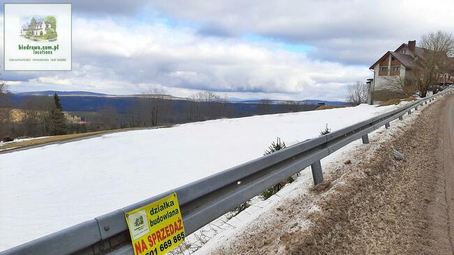 Zieleniec - działka 0,5 ha z warunkami zabudowy na 10 domków