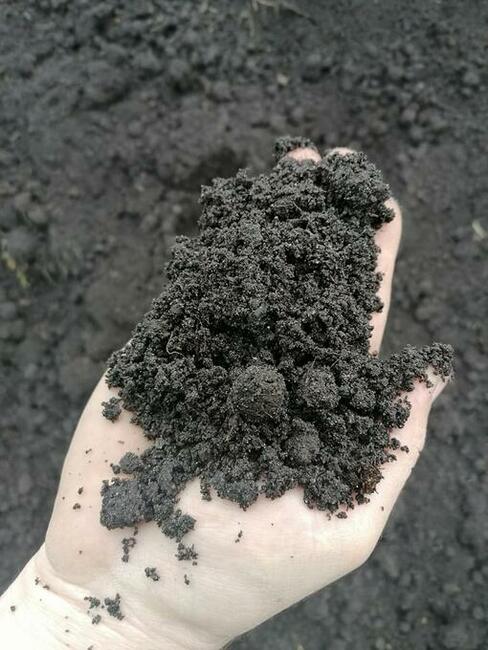 Czarnoziem, czarna ziemia, pod trawnik - dostawa od 20 ton