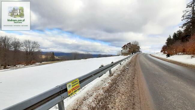 Zieleniec - działka 0,5 ha z warunkami zabudowy na 10 domków