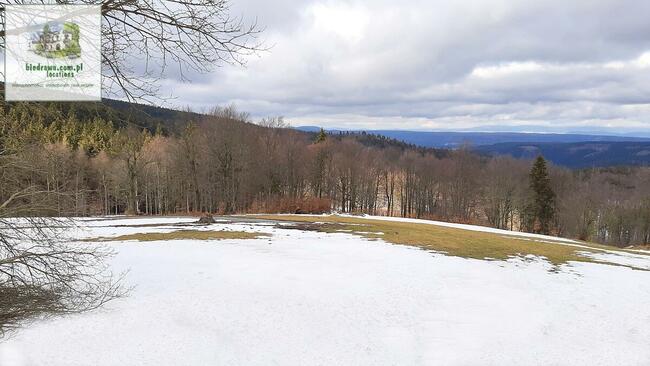 Zieleniec - działka 0,5 ha z warunkami zabudowy na 10 domków