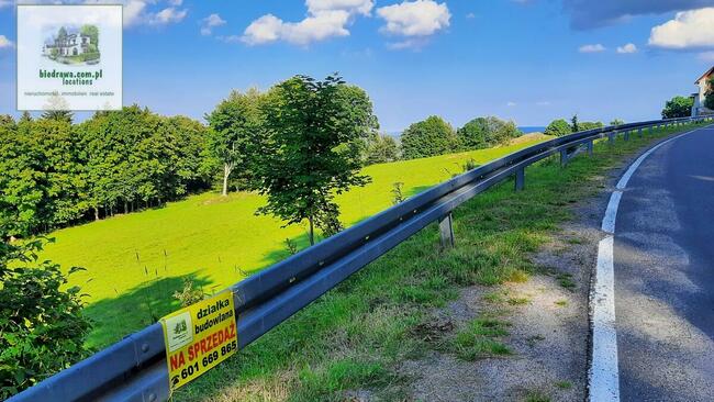Zieleniec - działka 0,5 ha z warunkami zabudowy na 10 domków