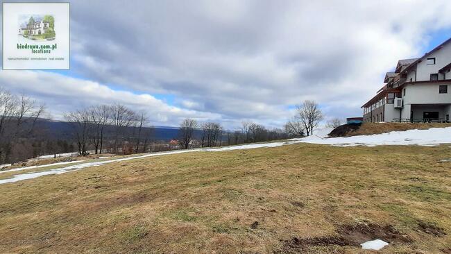 Zieleniec - działka 0,5 ha z warunkami zabudowy na 10 domków