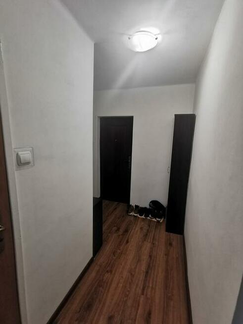 ZAMIENIE ŁADNE SŁONECZNE MIESZKANIE NA WIĘKSZE