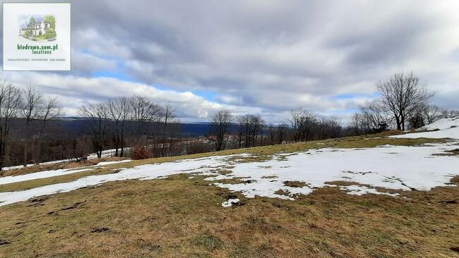 Zieleniec - działka 0,5 ha z warunkami zabudowy na 10 domków